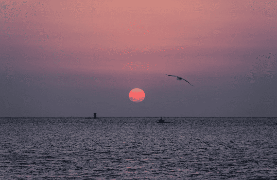 Arabia by Albert Canite on Unsplash