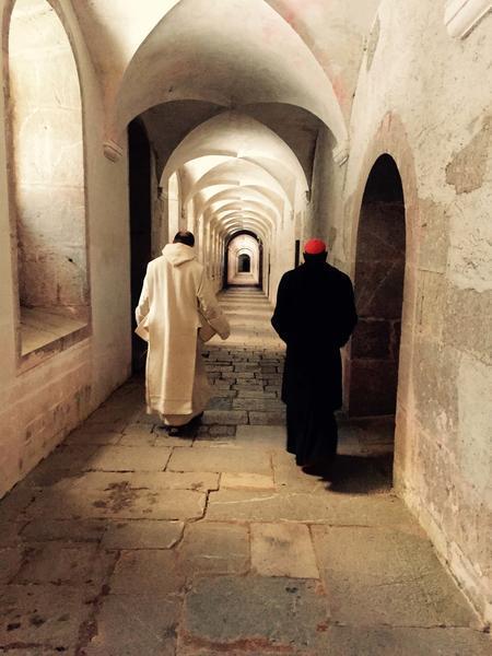 cardinal sarah abbaye 