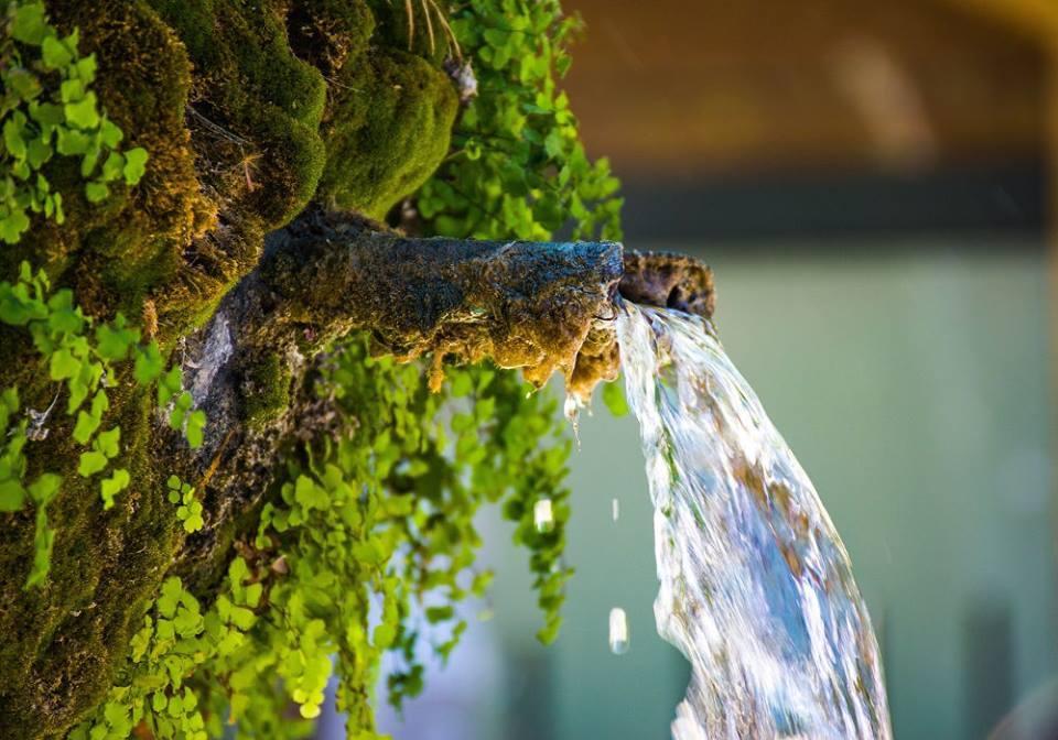 fonte acqua