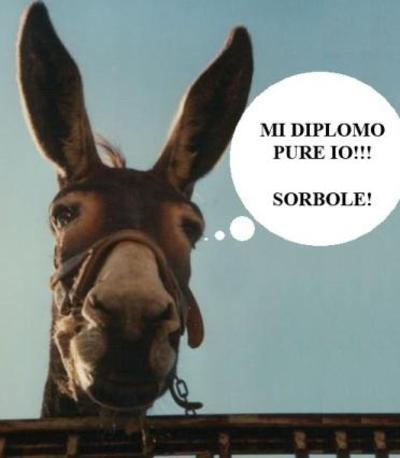 asino-a-scuola