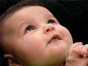 bimbo prega